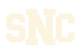 Shootouts 'N Cellys SNC logo